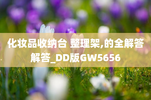 化妆品收纳台 整理架,的全解答解答_DD版GW5656