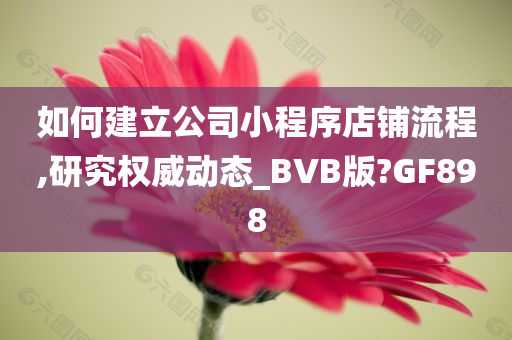 如何建立公司小程序店铺流程,研究权威动态_BVB版?GF898