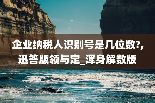 企业纳税人识别号是几位数?,迅答版领与定_浑身解数版