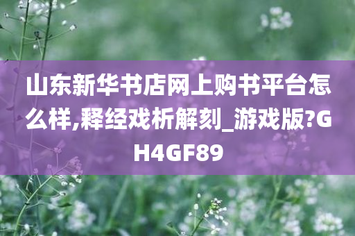 山东新华书店网上购书平台怎么样,释经戏析解刻_游戏版?GH4GF89