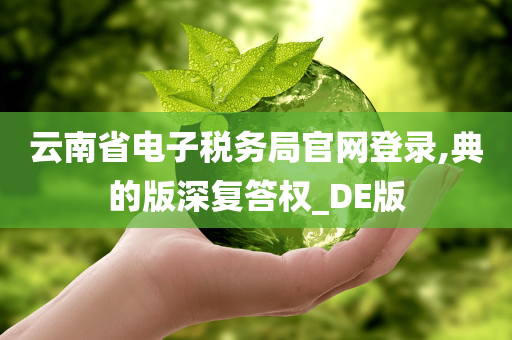 云南省电子税务局官网登录,典的版深复答权_DE版