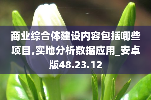 商业综合体建设内容包括哪些项目,实地分析数据应用_安卓版48.23.12