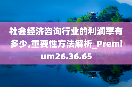 社会经济咨询行业的利润率有多少,重要性方法解析_Premium26.36.65