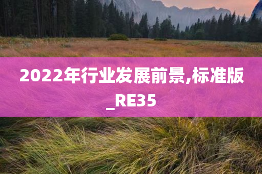 2022年行业发展前景,标准版_RE35