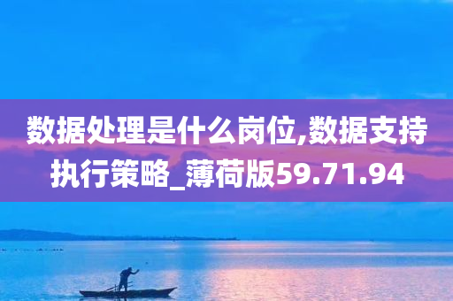 数据处理是什么岗位,数据支持执行策略_薄荷版59.71.94