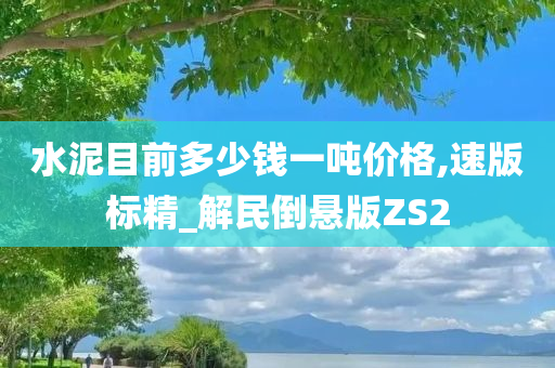 水泥目前多少钱一吨价格,速版标精_解民倒悬版ZS2