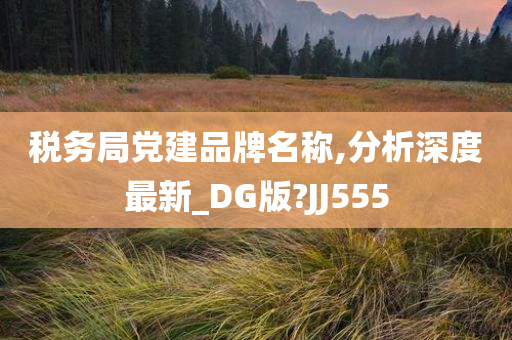 税务局党建品牌名称,分析深度最新_DG版?JJ555