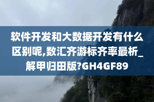 软件开发和大数据开发有什么区别呢,数汇齐游标齐率最析_解甲归田版?GH4GF89