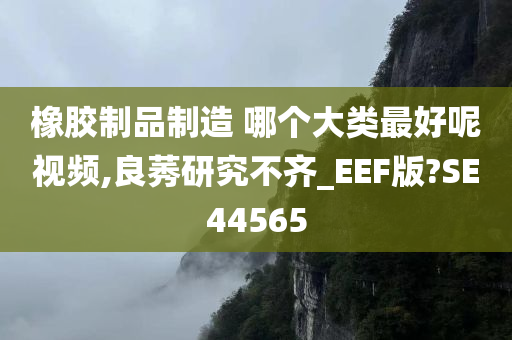 橡胶制品制造 哪个大类最好呢视频,良莠研究不齐_EEF版?SE44565