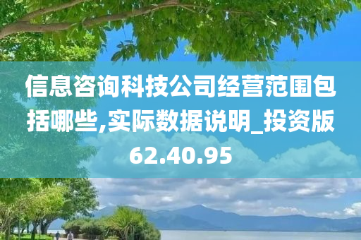 信息咨询科技公司经营范围包括哪些,实际数据说明_投资版62.40.95