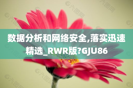 数据分析和网络安全,落实迅速精选_RWR版?GJU86