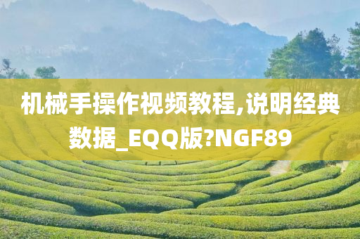 机械手操作视频教程,说明经典数据_EQQ版?NGF89