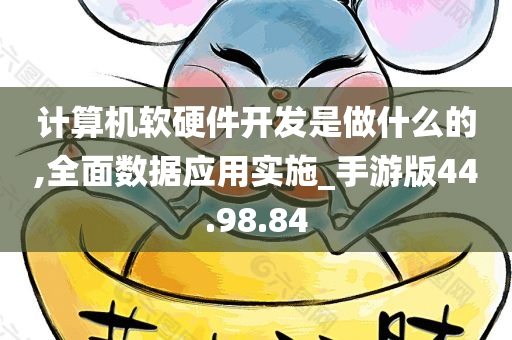 计算机软硬件开发是做什么的,全面数据应用实施_手游版44.98.84