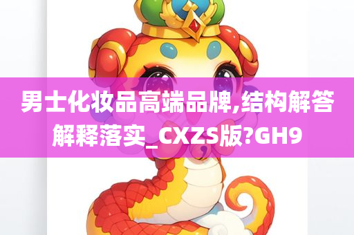 男士化妆品高端品牌,结构解答解释落实_CXZS版?GH9