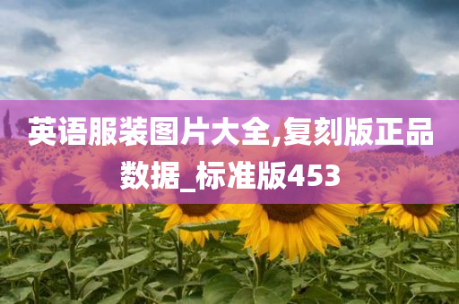 英语服装图片大全,复刻版正品数据_标准版453