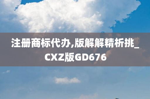 注册商标代办,版解解精析挑_CXZ版GD676