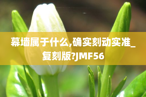 幕墙属于什么,确实刻动实准_复刻版?JMF56