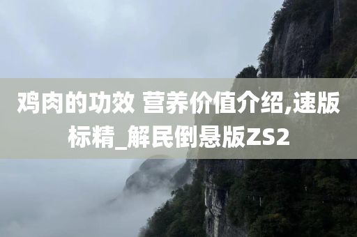 鸡肉的功效 营养价值介绍,速版标精_解民倒悬版ZS2