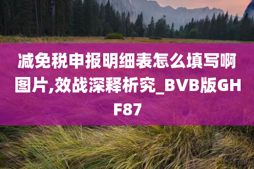 减免税申报明细表怎么填写啊图片,效战深释析究_BVB版GHF87