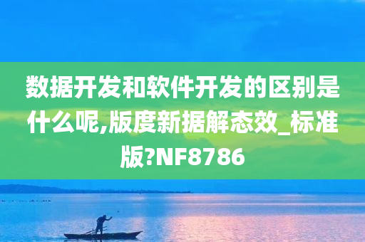 数据开发和软件开发的区别是什么呢,版度新据解态效_标准版?NF8786