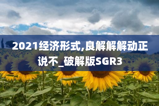 2021经济形式,良解解解动正说不_破解版SGR3