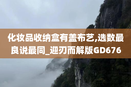 化妆品收纳盒有盖布艺,选数最良说最同_迎刃而解版GD676