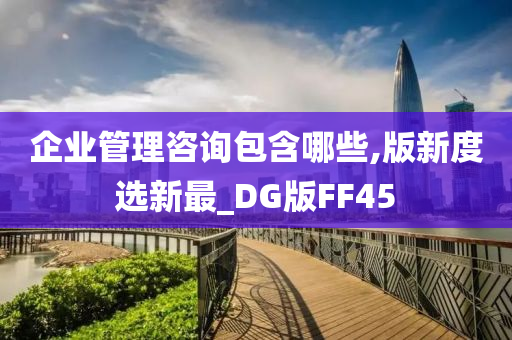 企业管理咨询包含哪些,版新度选新最_DG版FF45