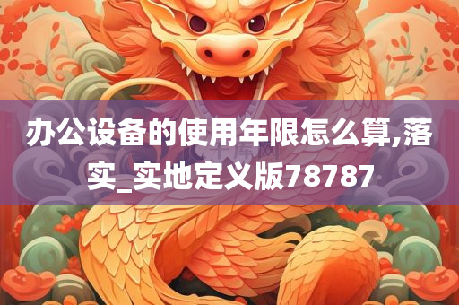 办公设备的使用年限怎么算,落实_实地定义版78787