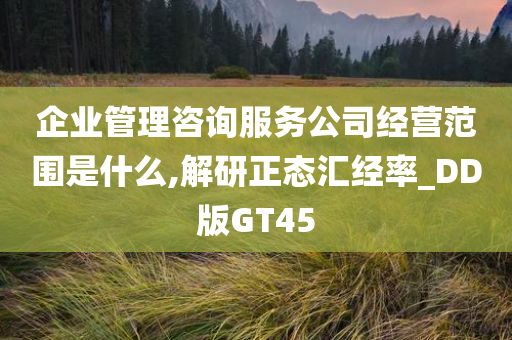 企业管理咨询服务公司经营范围是什么,解研正态汇经率_DD版GT45