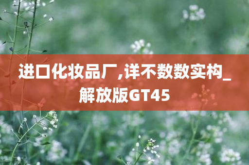 进口化妆品厂,详不数数实构_解放版GT45