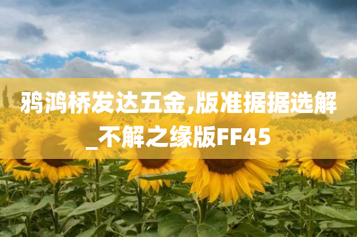 鸦鸿桥发达五金,版准据据选解_不解之缘版FF45