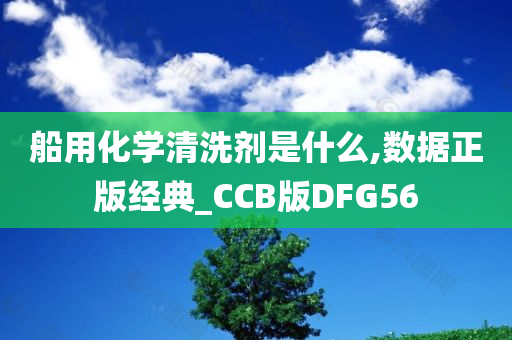 船用化学清洗剂是什么,数据正版经典_CCB版DFG56