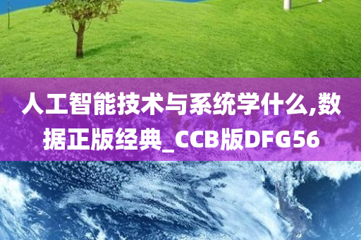 人工智能技术与系统学什么,数据正版经典_CCB版DFG56