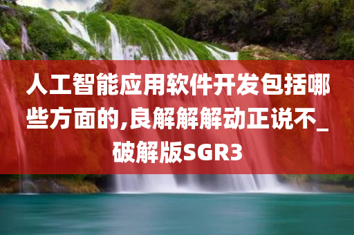 人工智能应用软件开发包括哪些方面的,良解解解动正说不_破解版SGR3