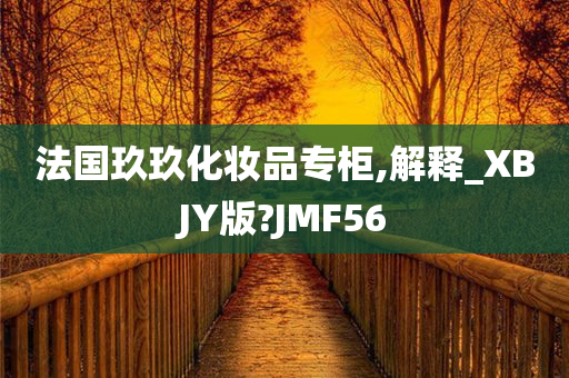 法国玖玖化妆品专柜,解释_XBJY版?JMF56