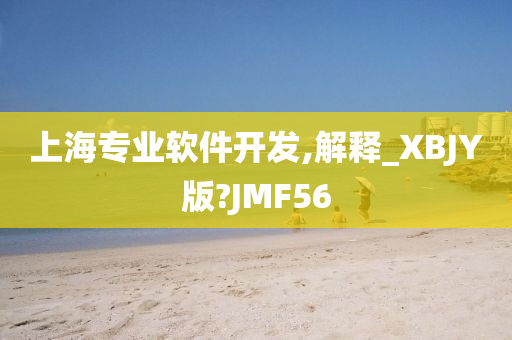 上海专业软件开发,解释_XBJY版?JMF56