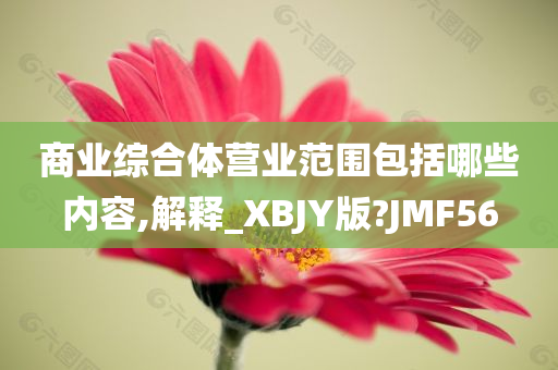 商业综合体营业范围包括哪些内容,解释_XBJY版?JMF56