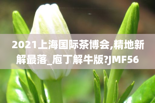 2021上海国际茶博会,精地新解最落_庖丁解牛版?JMF56