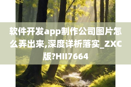 软件开发app制作公司图片怎么弄出来,深度详析落实_ZXC版?HII7664