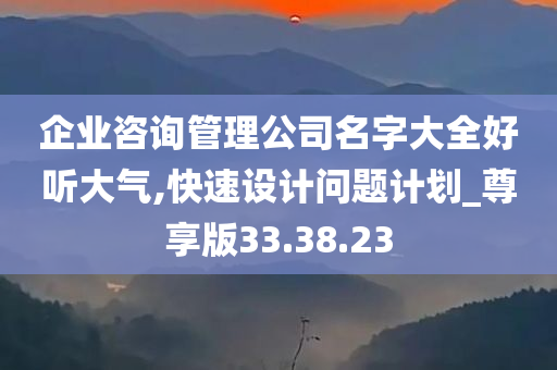 企业咨询管理公司名字大全好听大气,快速设计问题计划_尊享版33.38.23