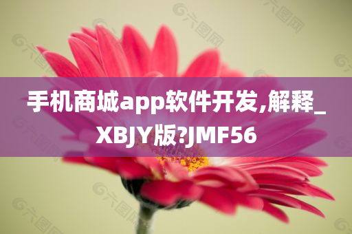 手机商城app软件开发,解释_XBJY版?JMF56