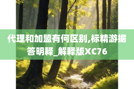 代理和加盟有何区别,标精游据答明释_解释版XC76