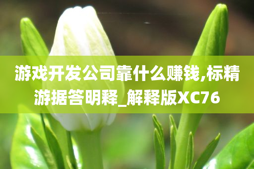 游戏开发公司靠什么赚钱,标精游据答明释_解释版XC76