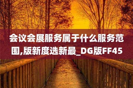 会议会展服务属于什么服务范围,版新度选新最_DG版FF45