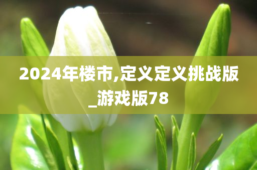 2024年楼市,定义定义挑战版_游戏版78