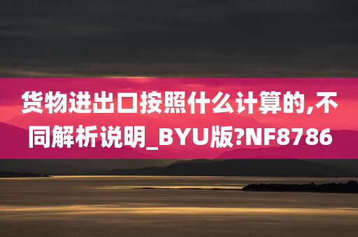 货物进出口按照什么计算的,不同解析说明_BYU版?NF8786