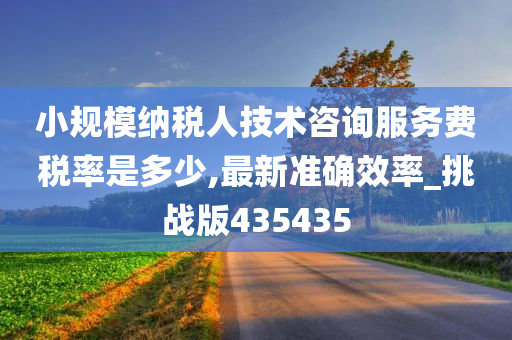 小规模纳税人技术咨询服务费税率是多少,最新准确效率_挑战版435435