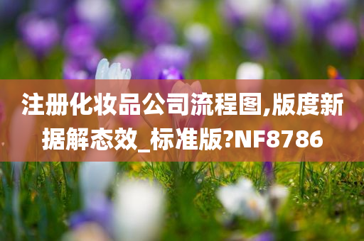 注册化妆品公司流程图,版度新据解态效_标准版?NF8786