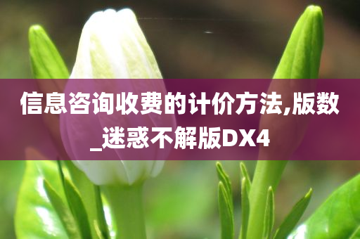 信息咨询收费的计价方法,版数_迷惑不解版DX4