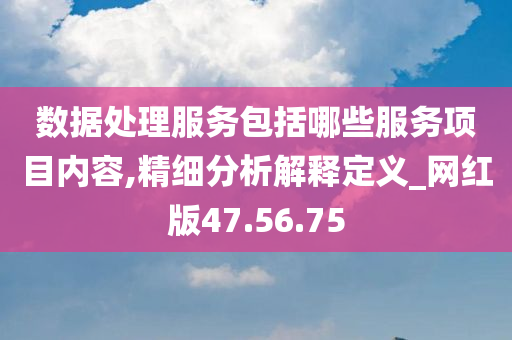 数据处理服务包括哪些服务项目内容,精细分析解释定义_网红版47.56.75